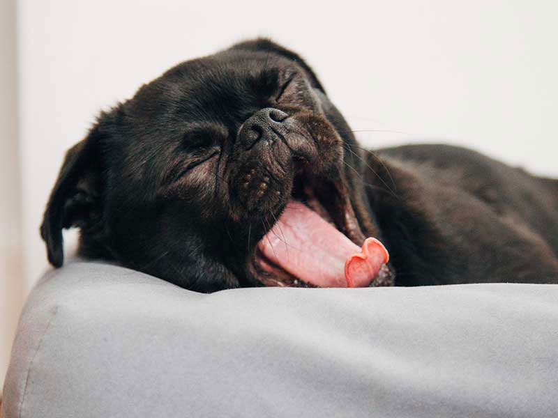 Here are top 10 tips for avoiding teacher burnout, inspired by moments spent crying out to God when I wanted to quit.