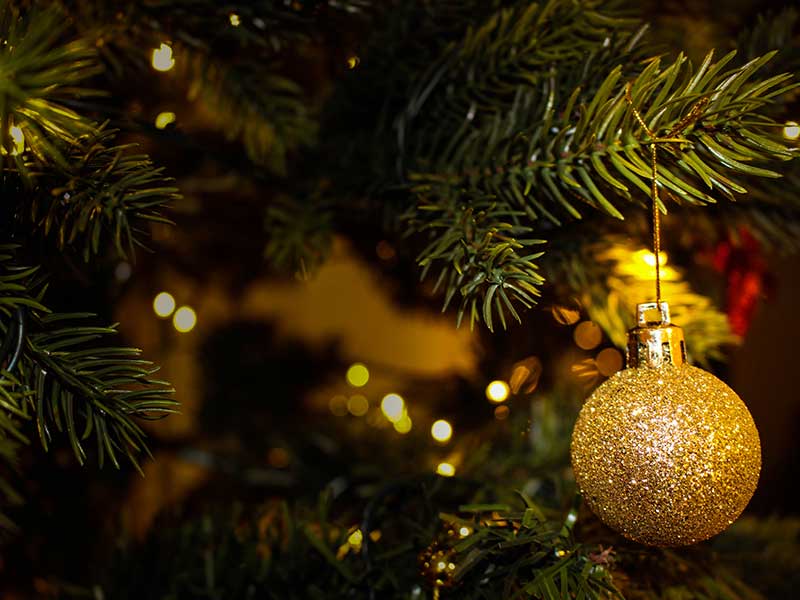 Christmas devotional from faculty Desiree Libengood|Christmas devotional from faculty