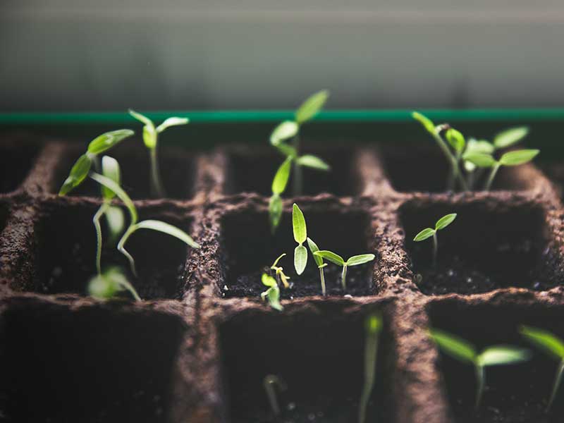 President Scott Hagan speaks about sowing seeds of leadership