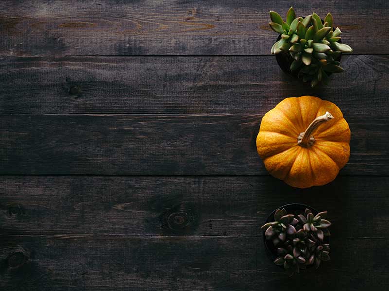 North Central Faculty Jonathan Friesen gives a Thanksgiving Devotional