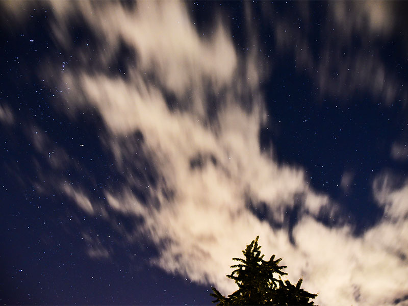 how to help the homelessness epidemic