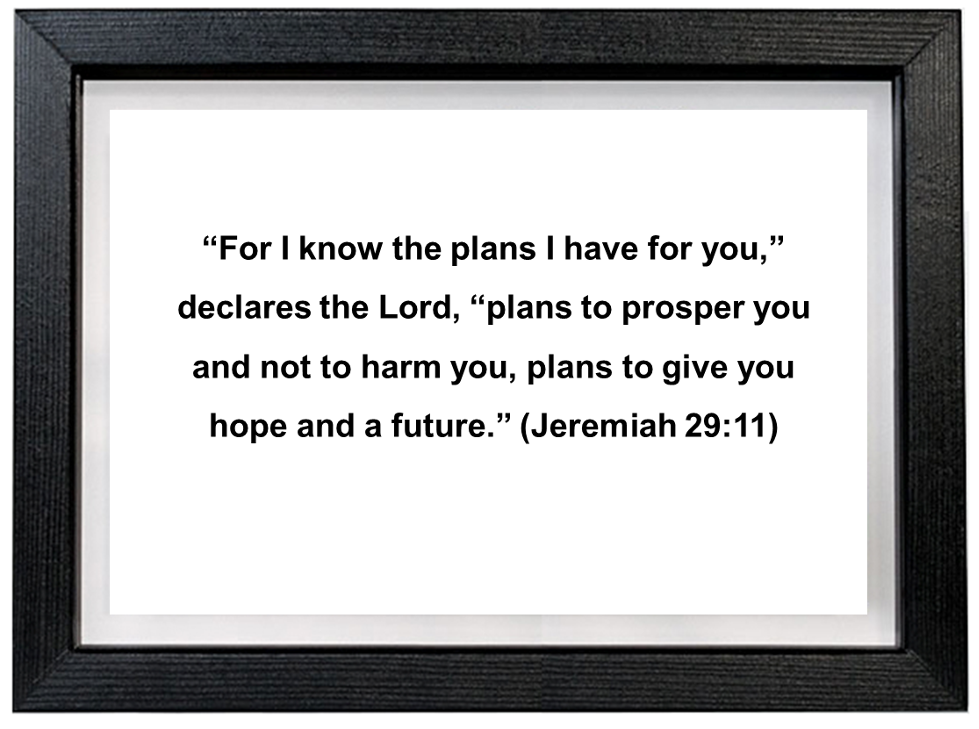 Framed photo of Jeremiah 29:11