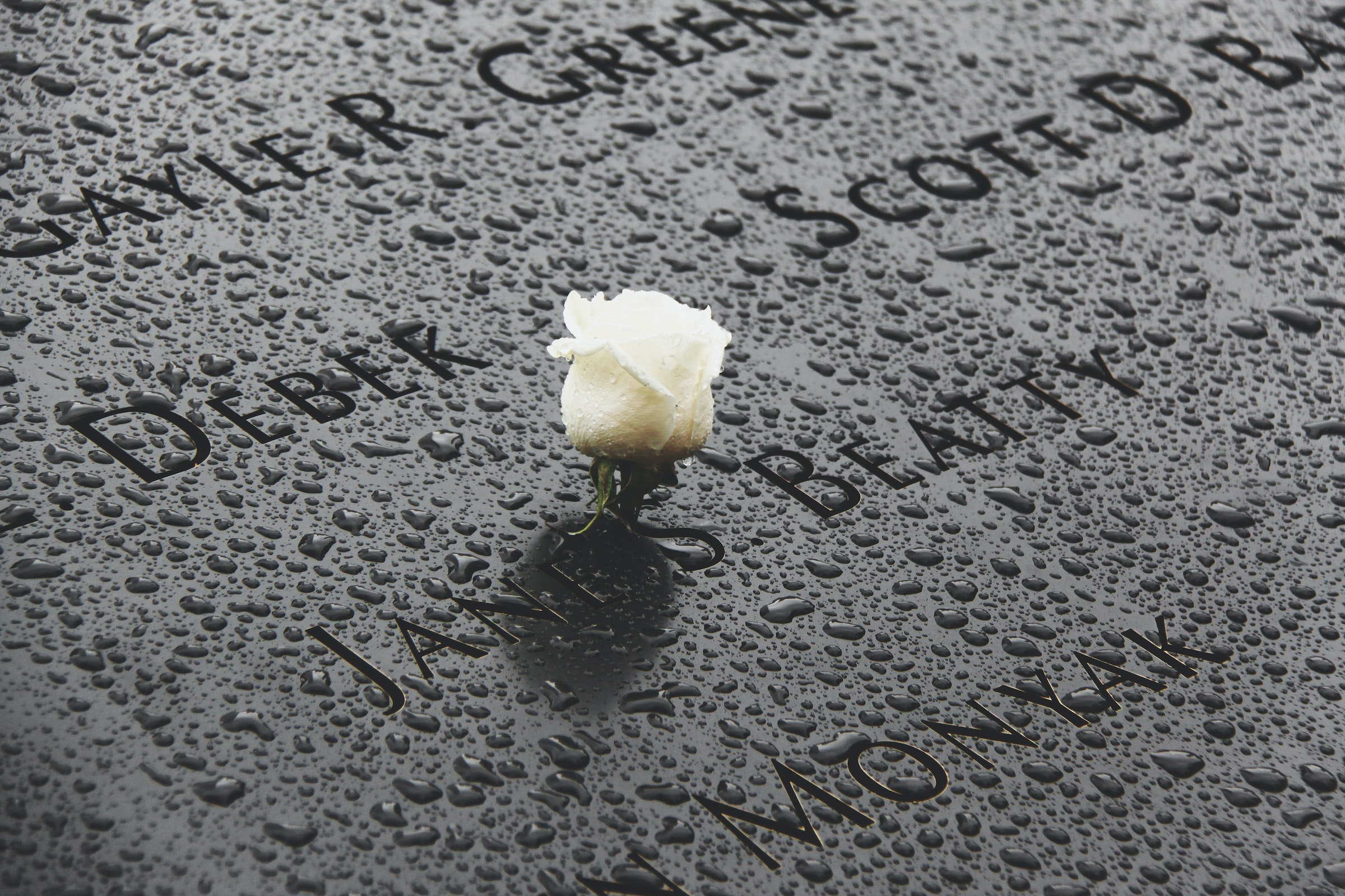 White rose on names at 9/11 memorial. Photo: Unsplash, Ged Lawson