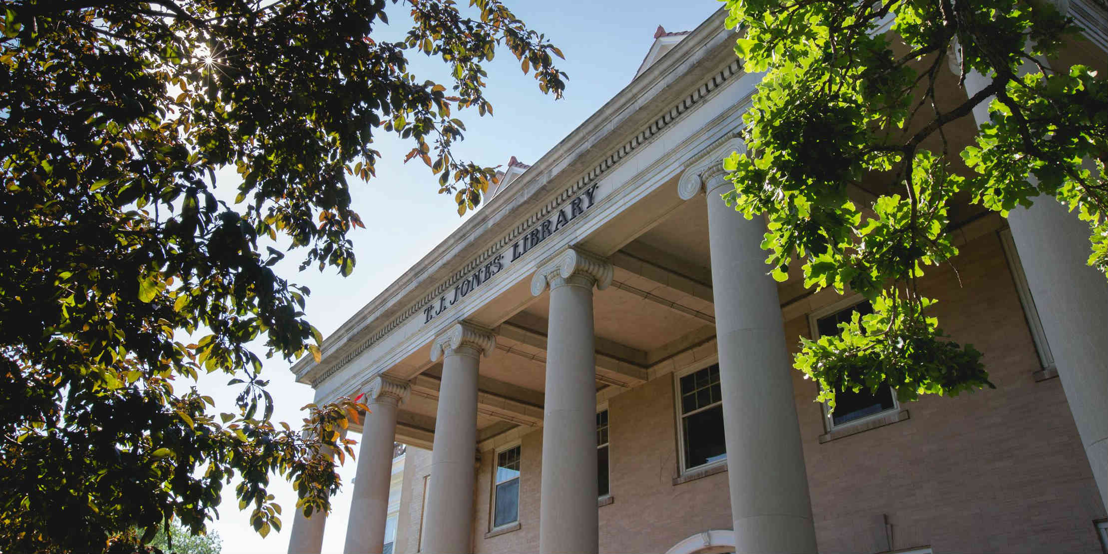 Outside shot of the T.J Jones Library in the summer.