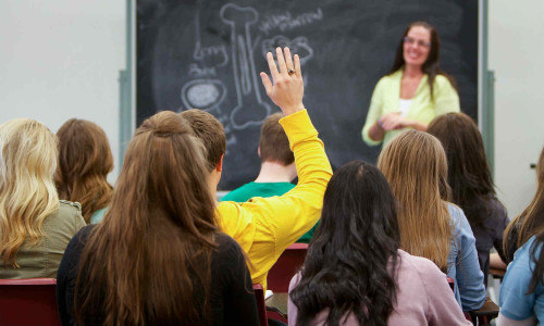 A student raises his hand in a general studies course.