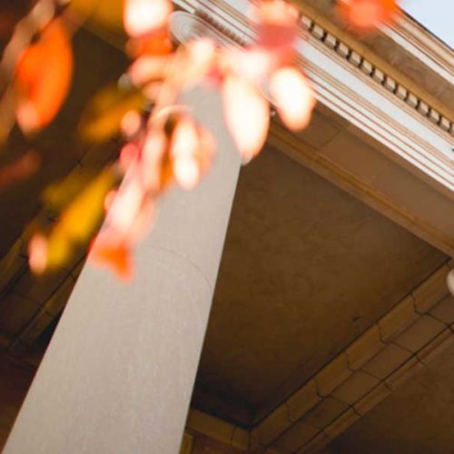 Thanksgiving devotional from Allen Tennison