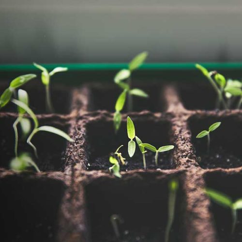President Scott Hagan speaks about sowing seeds of leadership