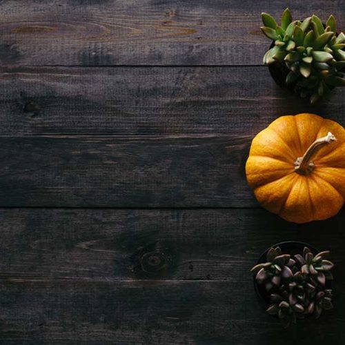 North Central Faculty Jonathan Friesen gives a Thanksgiving Devotional