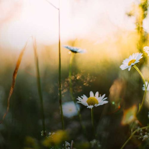 Easter Devotional from Doug Graham