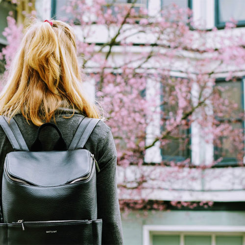Transition to college