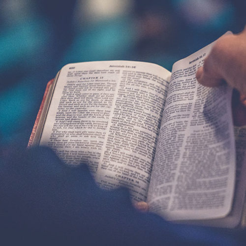 Amy Anderson Textual Criticism Book