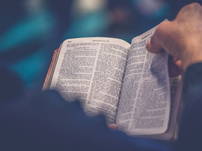 Amy Anderson Textual Criticism Book