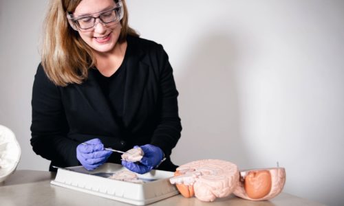 Biology dissection by woman wearing safety glasses and gloves