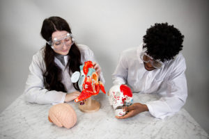 Two students working together to examine a plastic skull and plastic heart diagram.