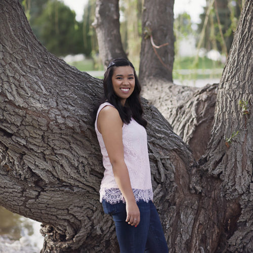 wyre in front of tree