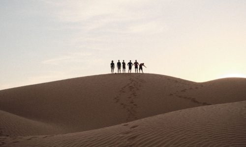 6 srudents standing on a desert hill