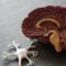 human brain toy