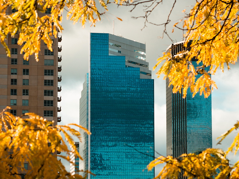 Minneapolis skyline in autumn with yellow leaves on trees nearby.